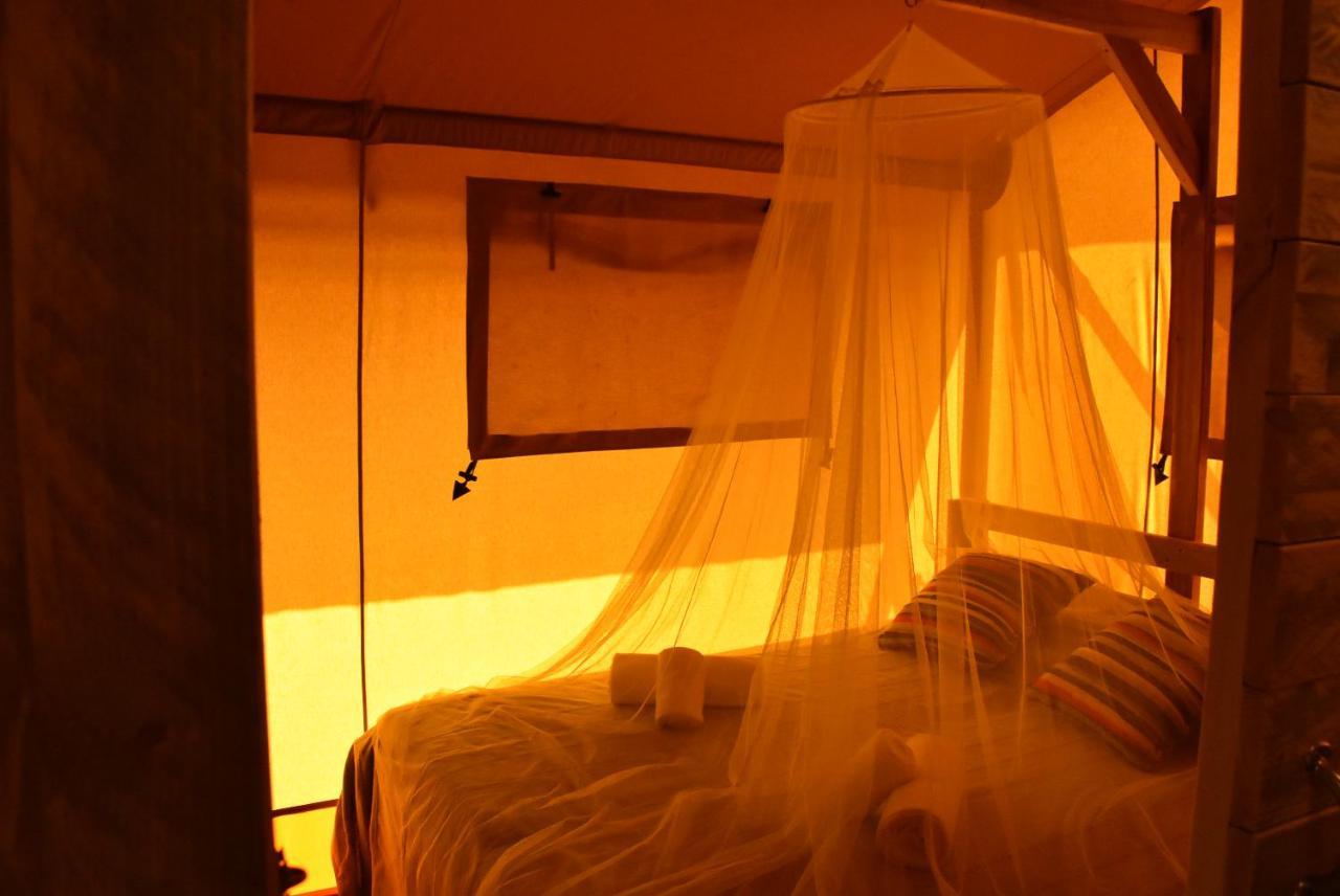 Salema Eco Camp - Sustainable Camping & Glamping エクステリア 写真