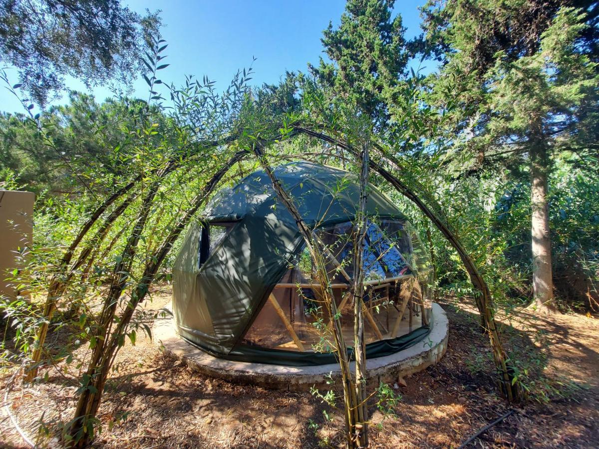 Salema Eco Camp - Sustainable Camping & Glamping エクステリア 写真