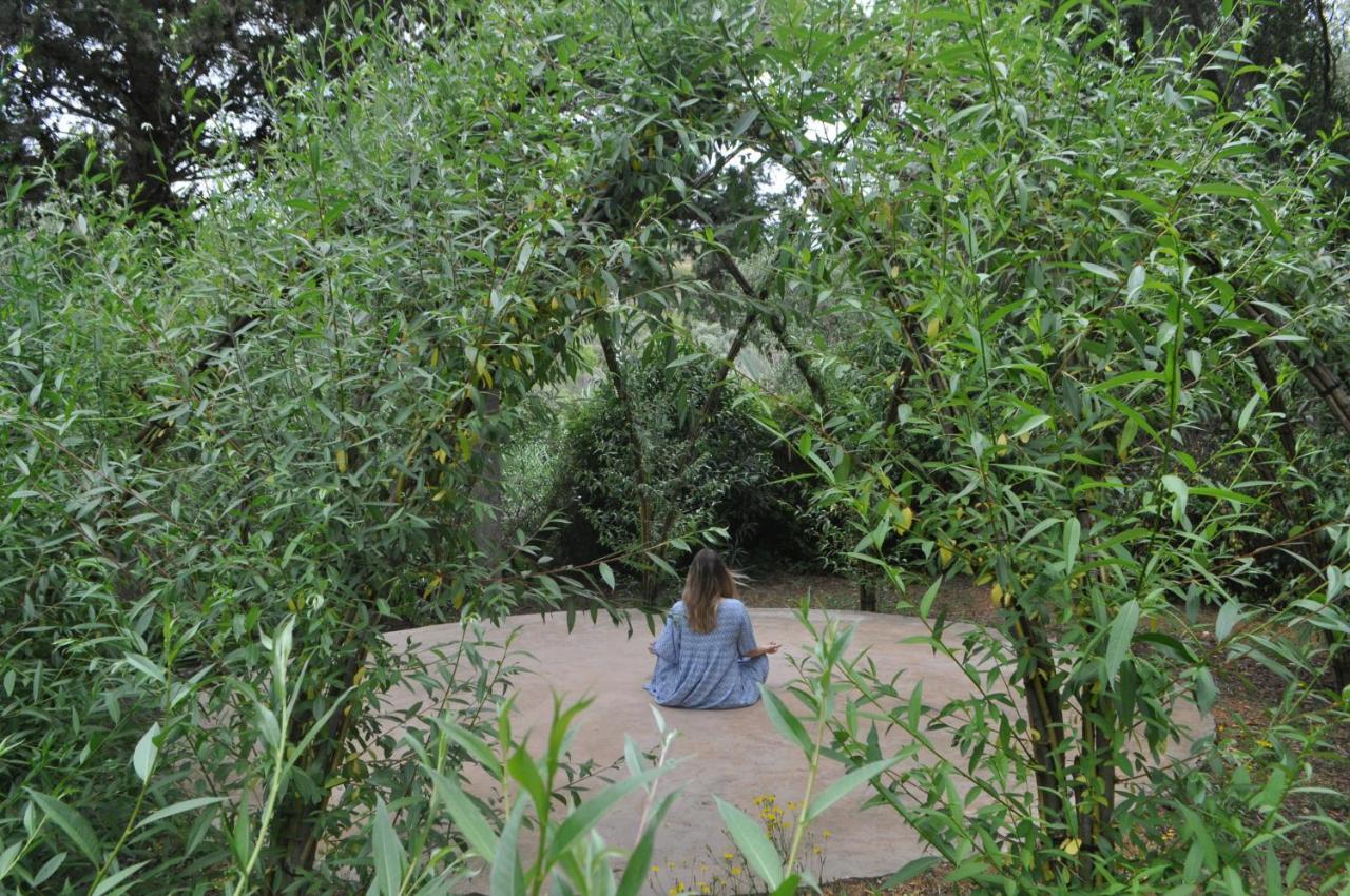 Salema Eco Camp - Sustainable Camping & Glamping エクステリア 写真